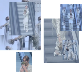 CATALOGUE OF DISGUISE