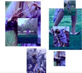 CATALOGUE OF DISGUISE