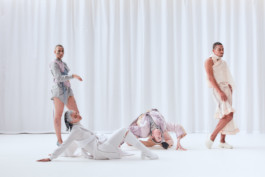 CATALOGUE OF DISGUISE