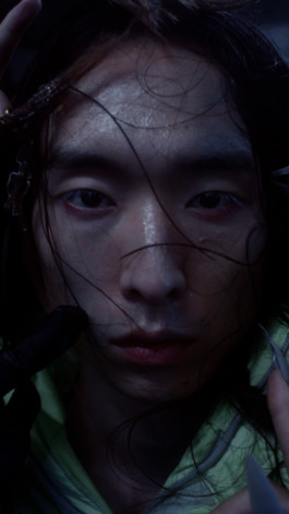 CATALOGUE OF DISGUISE